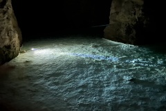 IMG_6572