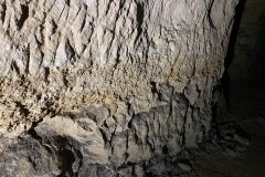 IMG_6583