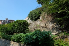 DSCF5645
