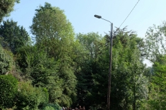 DSCF5648