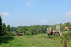 DSCF5657