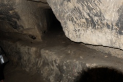DSCF8237