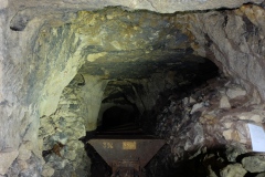 DSCF8243