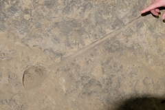 DSCF8265