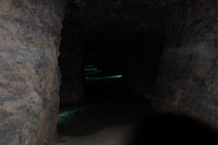 DSCF8279
