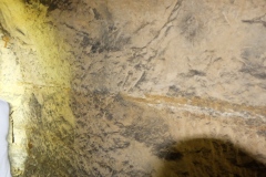 DSCF8302