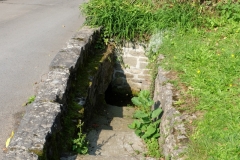 DSCF5634