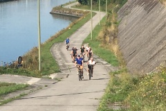 20190824_081204210_iOS