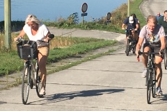 20190824_081217119_iOS