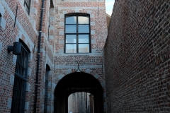 DSCF5348