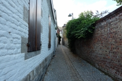 DSCF5351