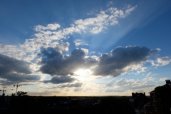 DSCF5401