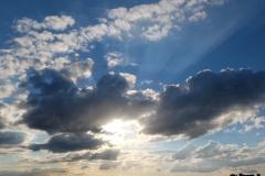 DSCF5402